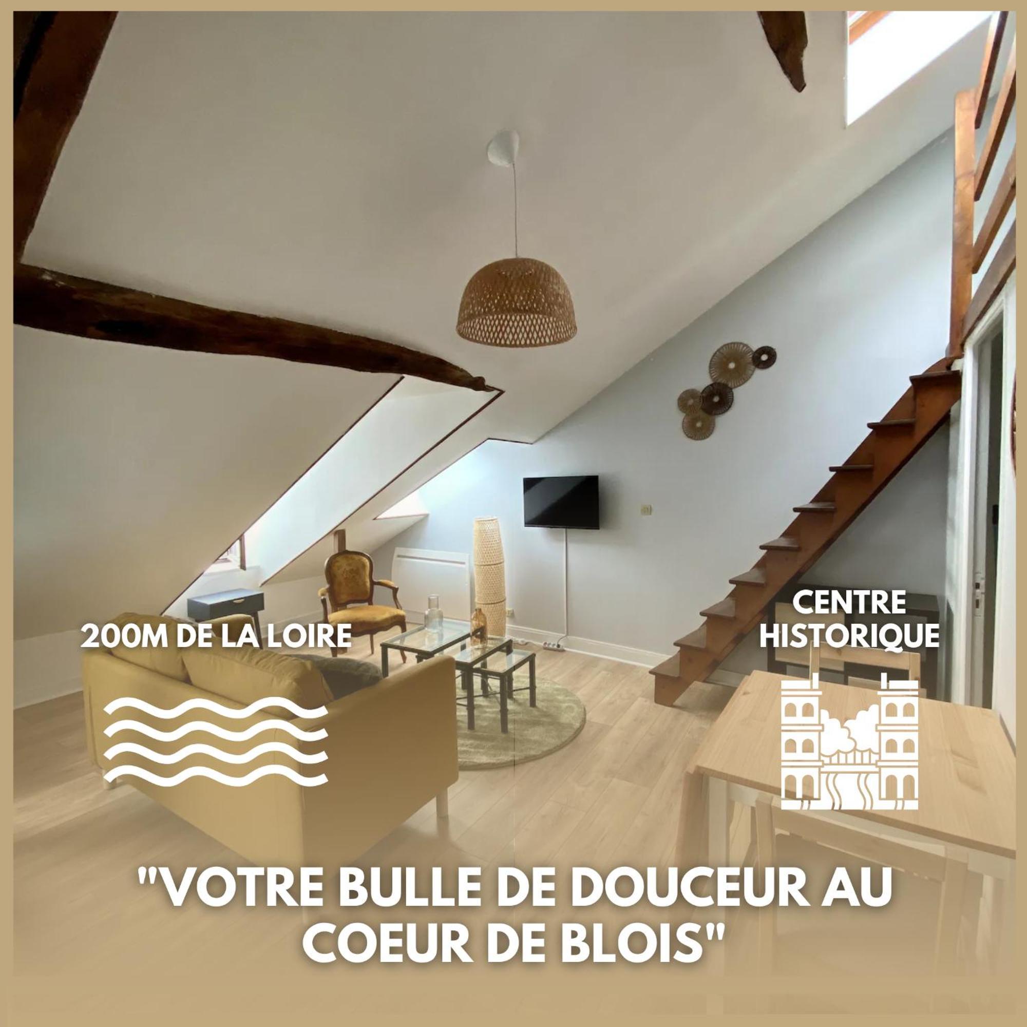 Le Cocon - Appartement En Hyper Centre Blois Ngoại thất bức ảnh