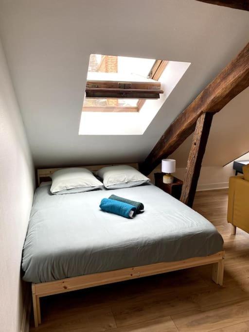 Le Cocon - Appartement En Hyper Centre Blois Ngoại thất bức ảnh